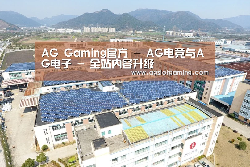 案例展示四