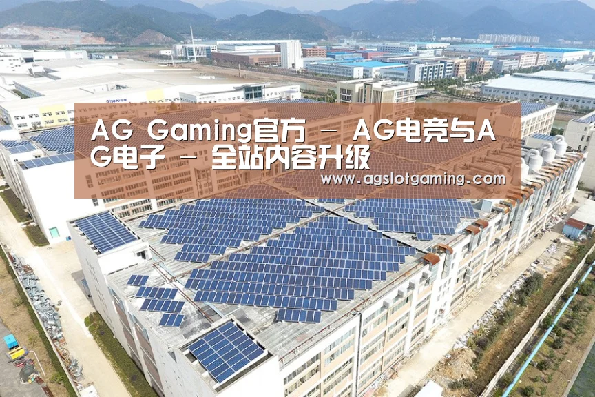 案例展示四