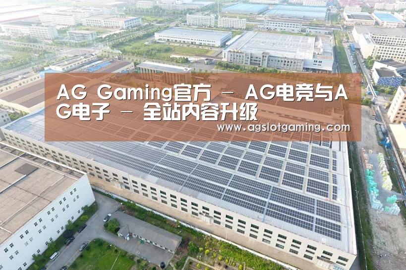 案例展示二