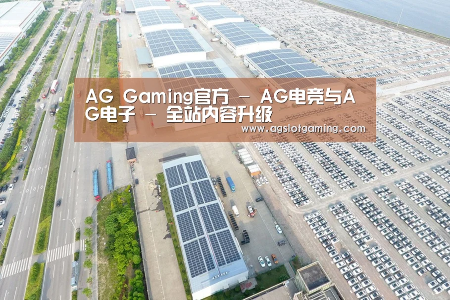 案例展示三